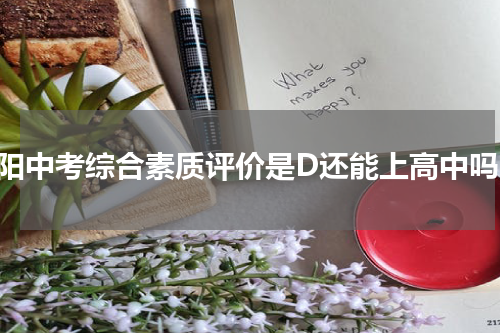 贵阳中考综合素质评价是D还能上高中吗？