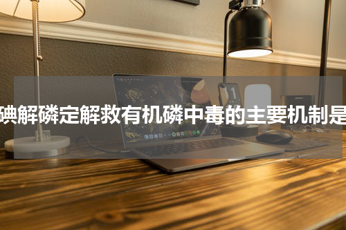 碘解磷定解救有机磷中毒的主要机制是