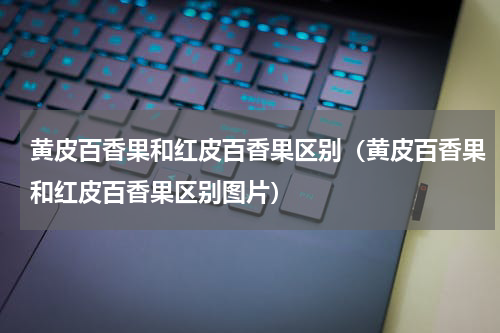 黄皮百香果和红皮百香果区别（黄皮百香果和红皮百香果区别图片）