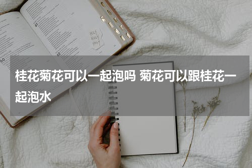 桂花菊花可以一起泡吗 菊花可以跟桂花一起泡水