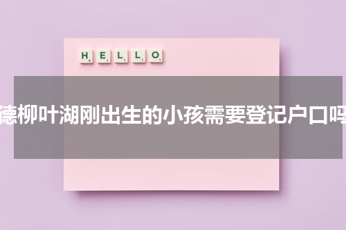 常德柳叶湖刚出生的小孩需要登记户口吗？
