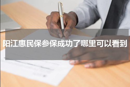 阳江惠民保参保成功了哪里可以看到