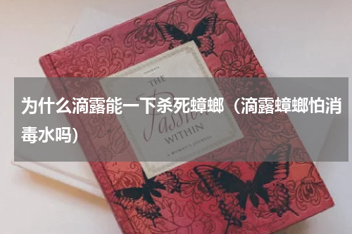 为什么滴露能一下杀死蟑螂（滴露蟑螂怕消毒水吗）