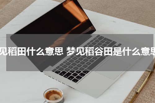 梦见稻田什么意思 梦见稻谷田是什么意思