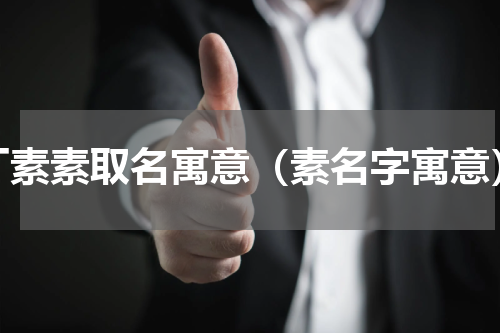 丁素素取名寓意（素名字寓意）