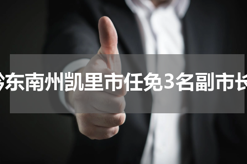 黔东南州凯里市任免3名副市长
