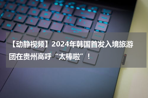 【动静视频】2024年韩国首发入境旅游团在贵州高呼“太棒啦”！