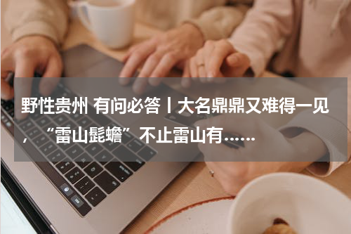 野性贵州 有问必答丨大名鼎鼎又难得一见，“雷山髭蟾”不止雷山有……