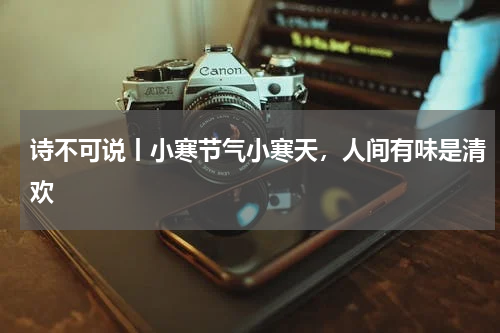 诗不可说丨小寒节气小寒天，人间有味是清欢