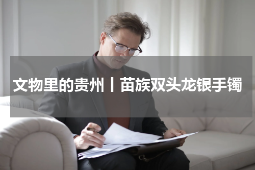 文物里的贵州丨苗族双头龙银手镯