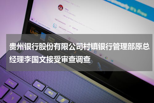 贵州银行股份有限公司村镇银行管理部原总经理李国文接受审查调查