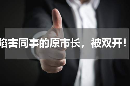 陷害同事的原市长，被双开！