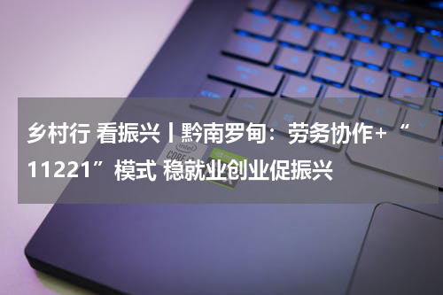 乡村行 看振兴丨黔南罗甸：劳务协作+“11221”模式 稳就业创业促振兴