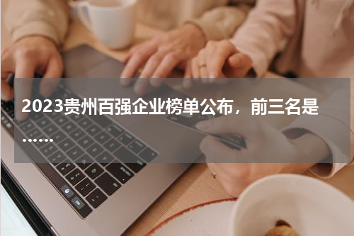 2023贵州百强企业榜单公布，前三名是……