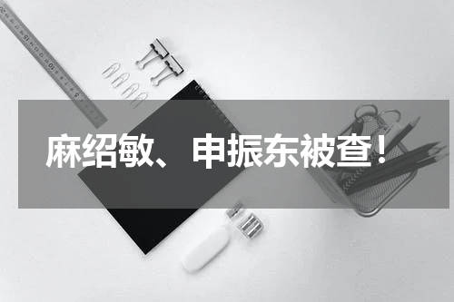 麻绍敏、申振东被查！
