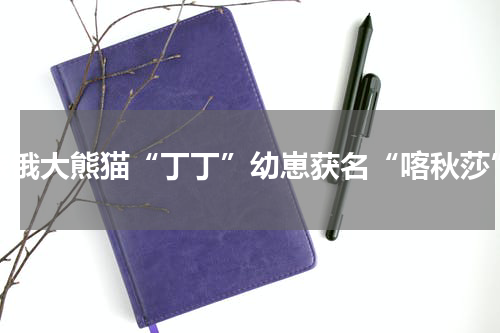 旅俄大熊猫“丁丁”幼崽获名“喀秋莎”