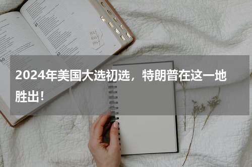 2024年美国大选初选，特朗普在这一地胜出！