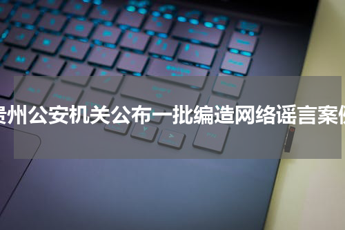 贵州公安机关公布一批编造网络谣言案例