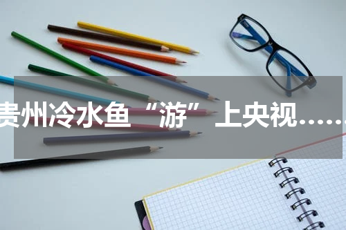 贵州冷水鱼“游”上央视……