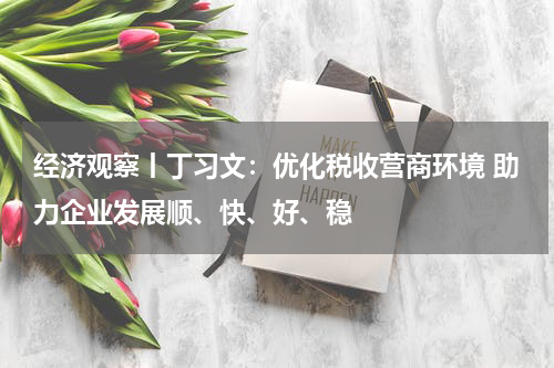 经济观察丨丁习文：优化税收营商环境 助力企业发展顺、快、好、稳