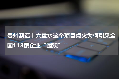 贵州制造丨六盘水这个项目点火为何引来全国113家企业“围观”