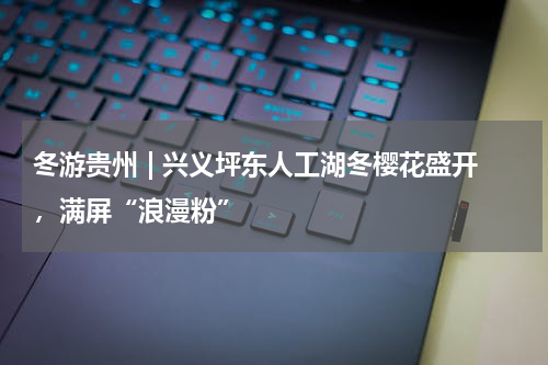 冬游贵州 | 兴义坪东人工湖冬樱花盛开，满屏“浪漫粉”