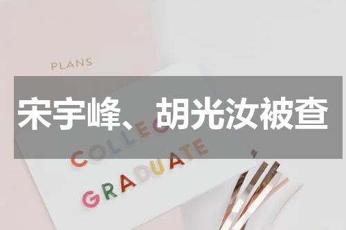 宋宇峰、胡光汝被查