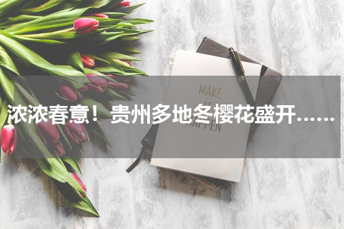 浓浓春意！贵州多地冬樱花盛开……