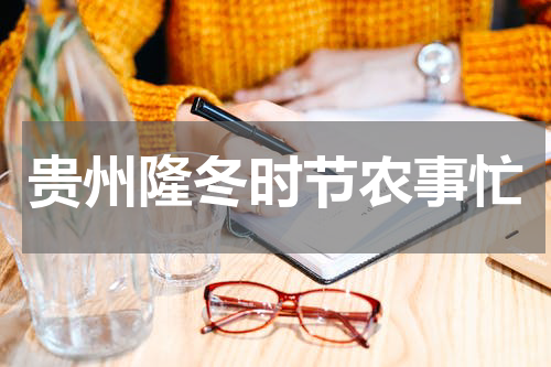 贵州隆冬时节农事忙