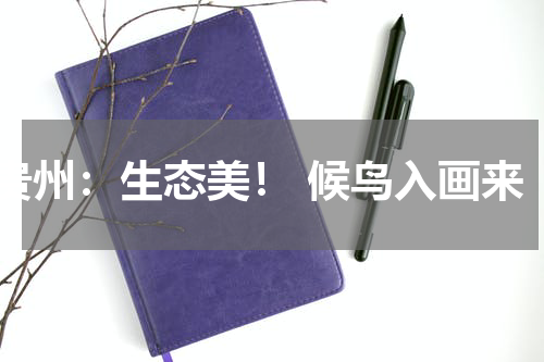 贵州：生态美！ 候鸟入画来