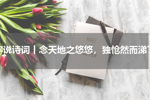 字说诗词丨念天地之悠悠，独怆然而涕下