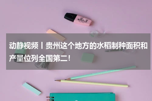 动静视频丨贵州这个地方的水稻制种面积和产量位列全国第二！