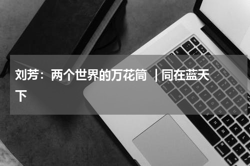 刘芳：两个世界的万花筒  | 同在蓝天下