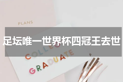 足坛唯一世界杯四冠王去世