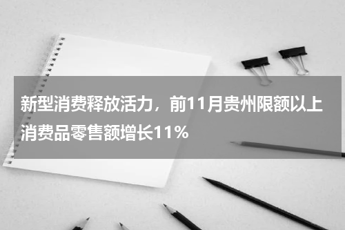 新型消费释放活力，前11月贵州限额以上消费品零售额增长11%