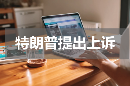 特朗普提出上诉