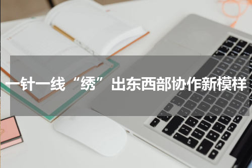 一针一线“绣”出东西部协作新模样