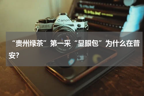 “贵州绿茶”第一采“显眼包”为什么在普安？