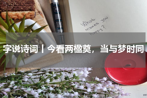 字说诗词丨今看两楹奠，当与梦时同