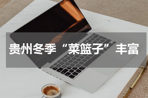 贵州冬季“菜篮子”丰富