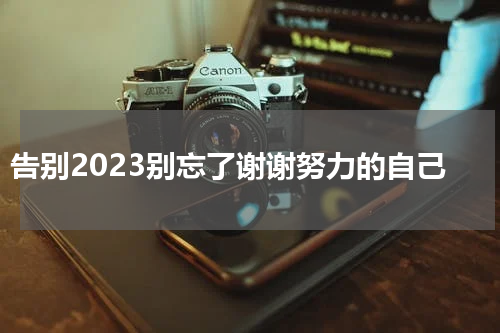 告别2023别忘了谢谢努力的自己