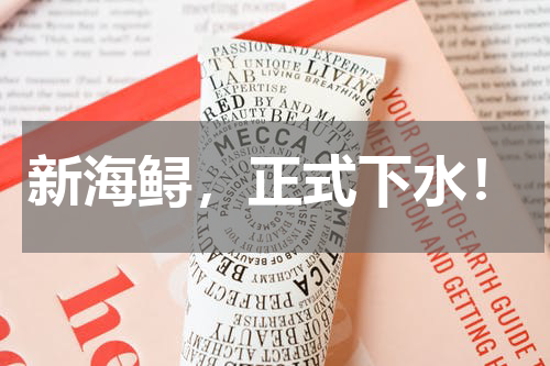 新海鲟，正式下水！