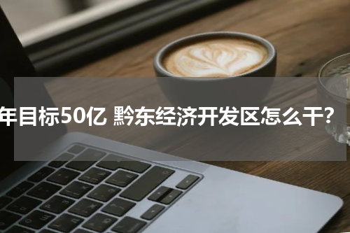 今年目标50亿 黔东经济开发区怎么干？