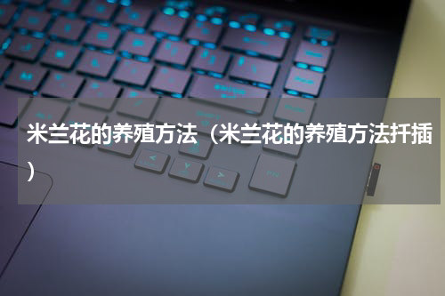 米兰花的养殖方法（米兰花的养殖方法扦插）