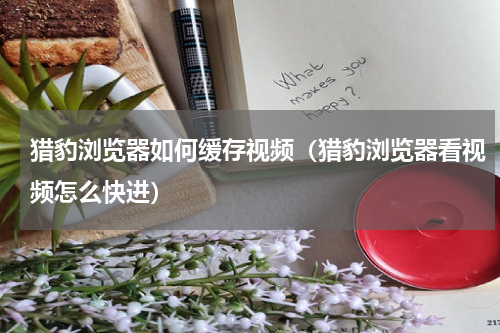 猎豹浏览器如何缓存视频（猎豹浏览器看视频怎么快进）