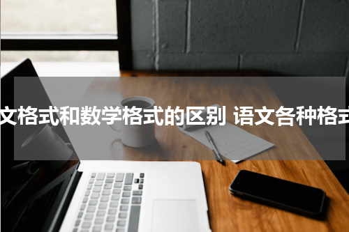 语文格式和数学格式的区别 语文各种格式