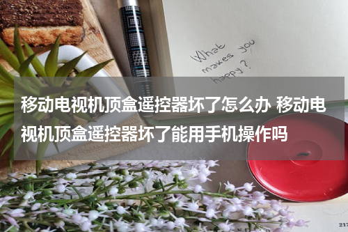 移动电视机顶盒遥控器坏了怎么办 移动电视机顶盒遥控器坏了能用手机操作吗