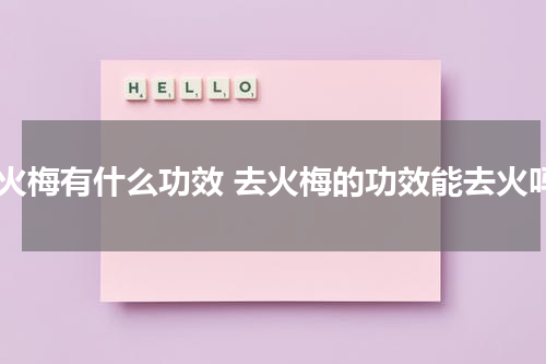 去火梅有什么功效 去火梅的功效能去火吗