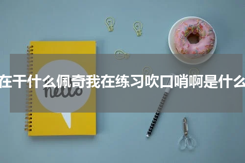 你在干什么佩奇我在练习吹口哨啊是什么歌