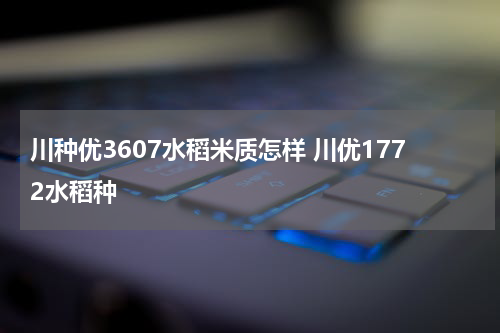 川种优3607水稻米质怎样 川优1772水稻种